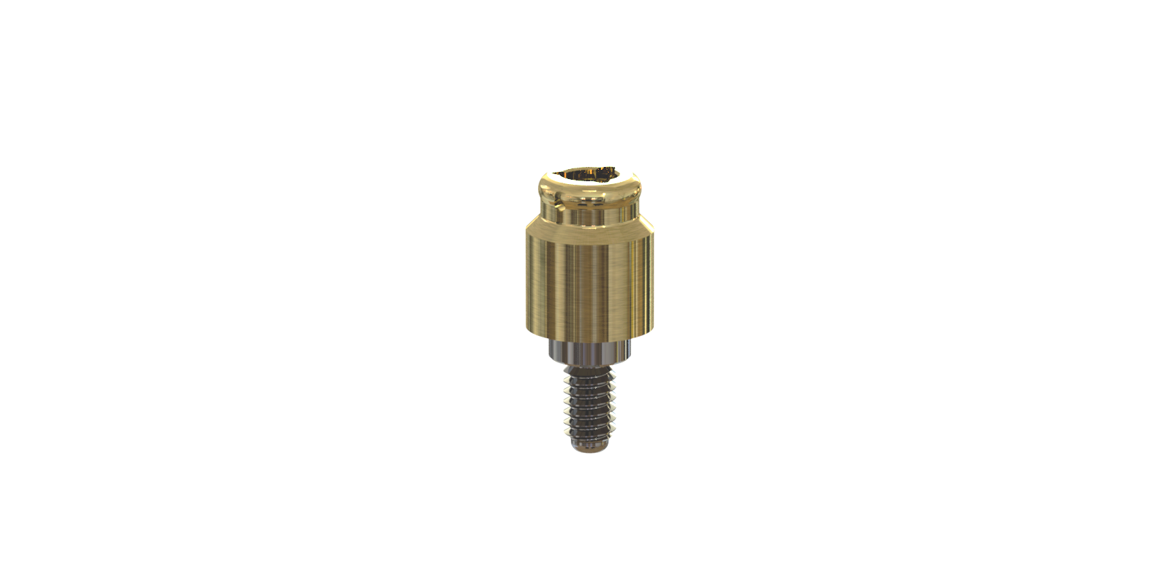 RN 4.8 RN 4.8
